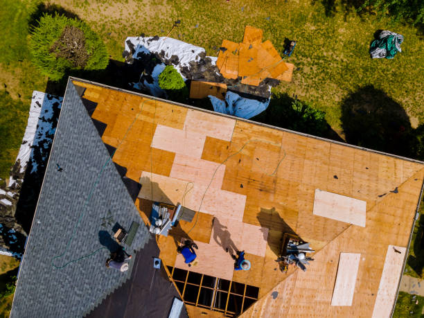 Best Residential Roofing Contractor  in Sunman, IN